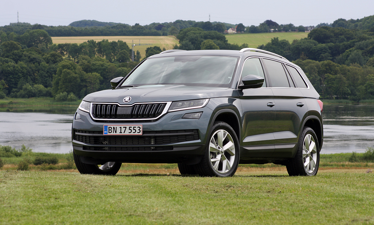 rustfri Effektivt Moske TEST: Skoda skyder bjørnen med Kodiaq - Hvilkenbil.dk